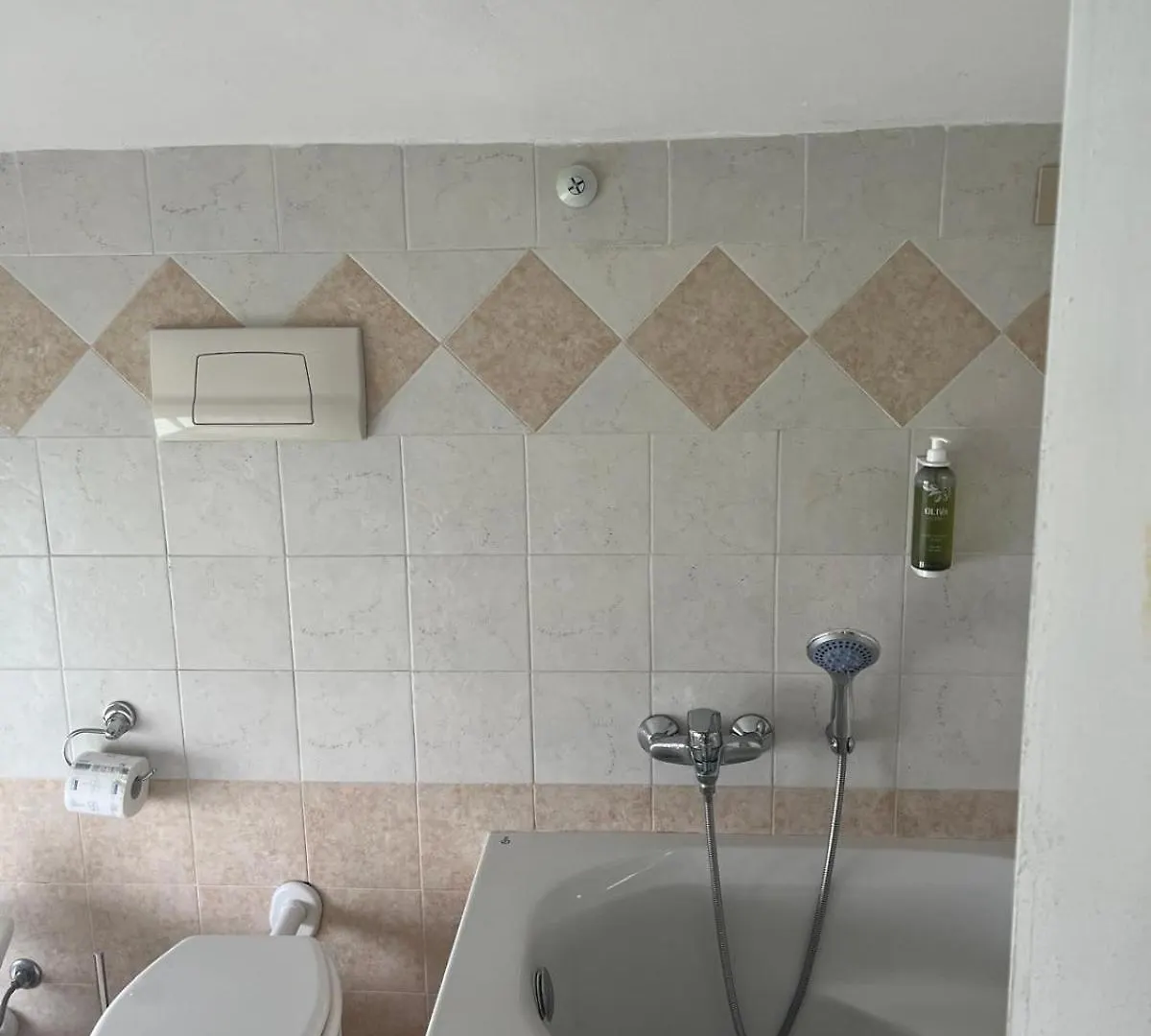Poggio Al Lago Residence Hotel Sirmione Aparthotel